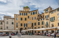  lucca
